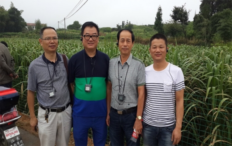 2014年8月，中國(guó)蔬菜流通協(xié)會(huì)會(huì)長(zhǎng)戴中久與公司、市場(chǎng)領(lǐng)導(dǎo)一起考察蔬菜基地
